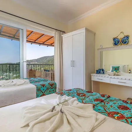 Alara Villa *